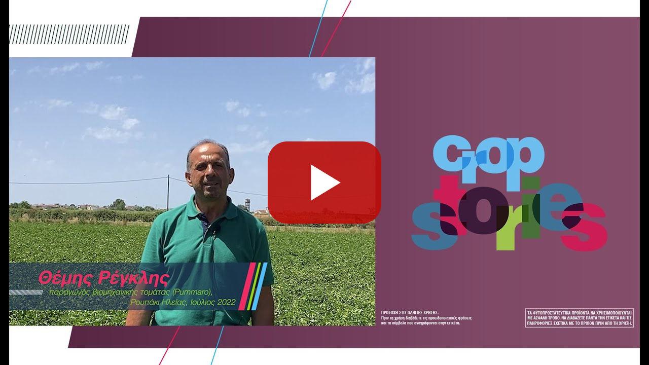 SERENADE ASO & ΒΙΟΜΗΧΑΝΙΚΗ ΤΟΜΑΤΑ /// Θέμης Ρέγκλης, Παραγωγός βιομηχανικής τομάτας, Ρουπάκι Ηλείας