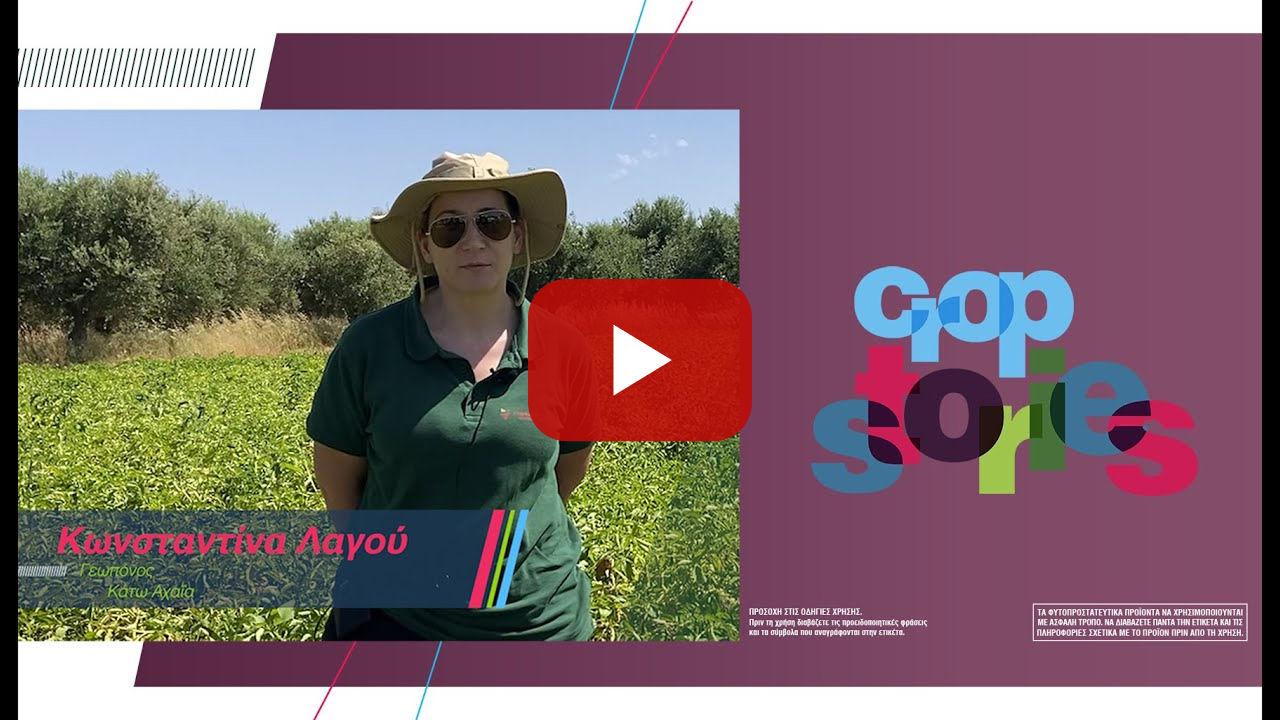 SERENADE ASO & ΠΑΤΑΤΑ /// Κων/να Λαγού, Γεωπόνος - Άρης Αγγελόπουλος Παραγωγός Πατάτας