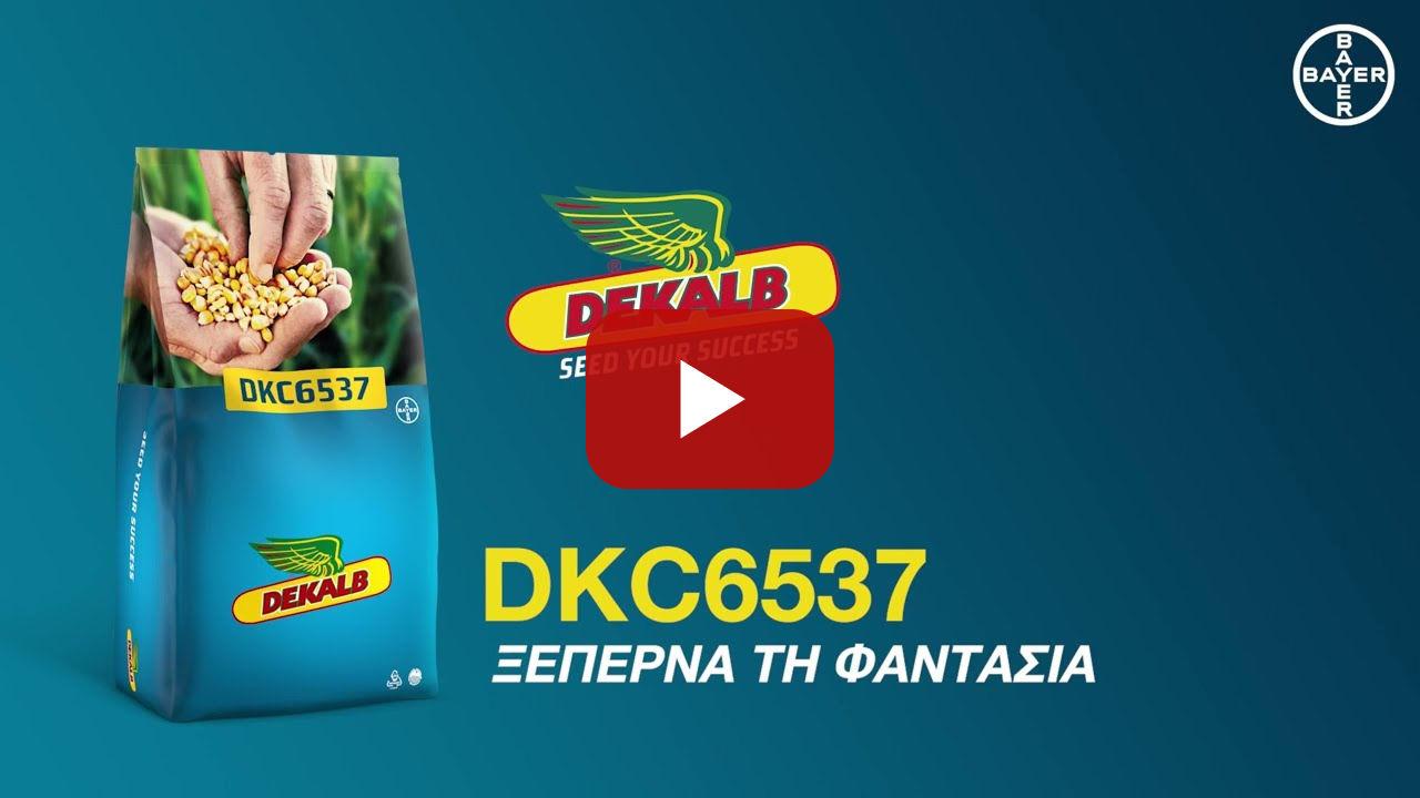 DEKALB /// DKC6537 - Ξεπερνά τη φαντασία