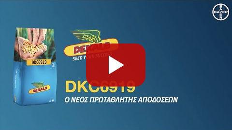 DEKALB /// DKC6919 - Ο νέος πρωταθλητής αποδόσεων