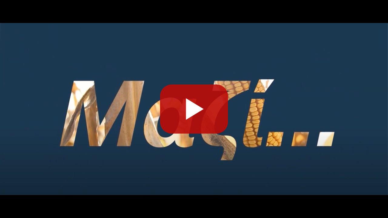 Μαζί για το καλαμπόκι