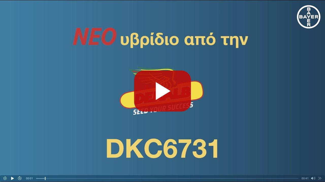 DEKALB /// DKC6731 - Έτοιμο για κάθε χρήση