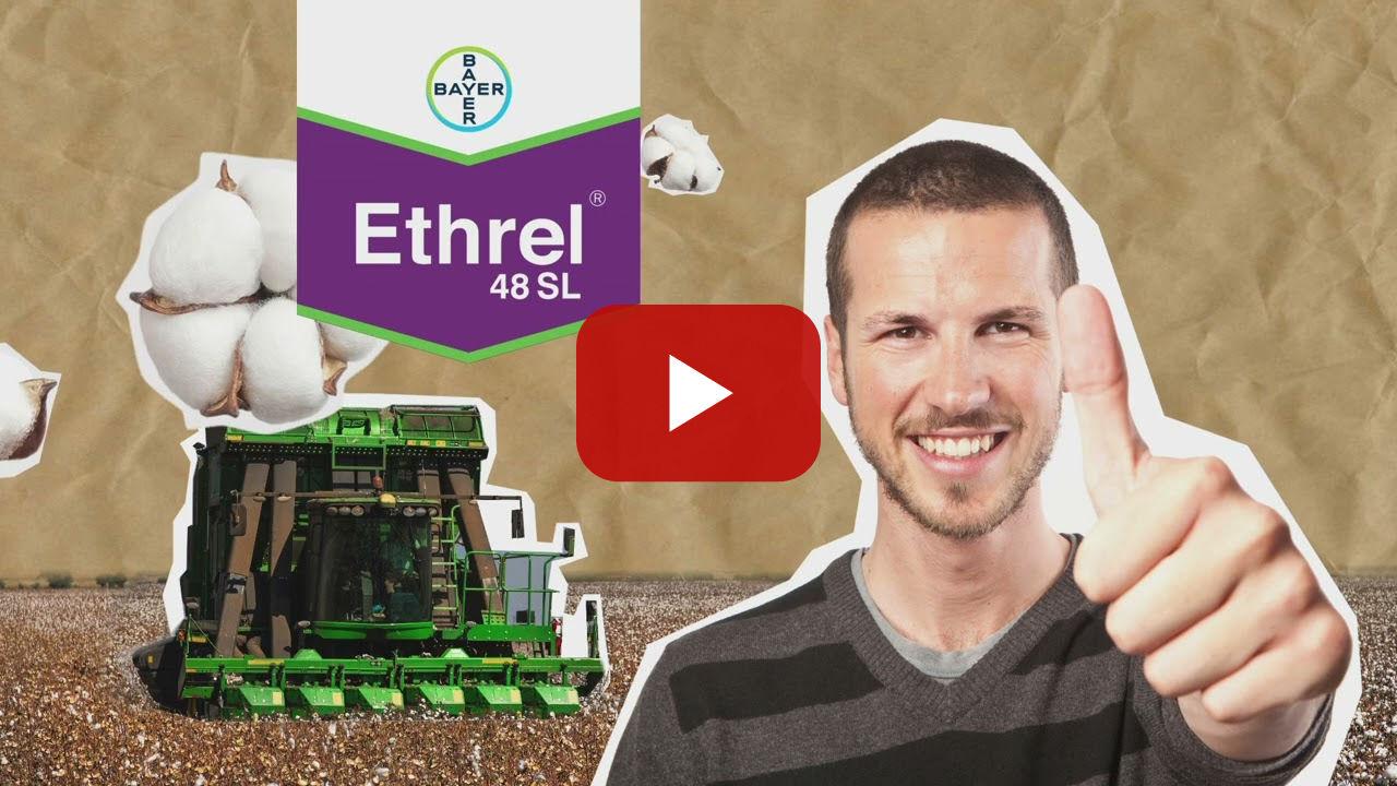 Ethrel - Εξασφάλισε την συγκομιδή με την επώνυμη επιλογή