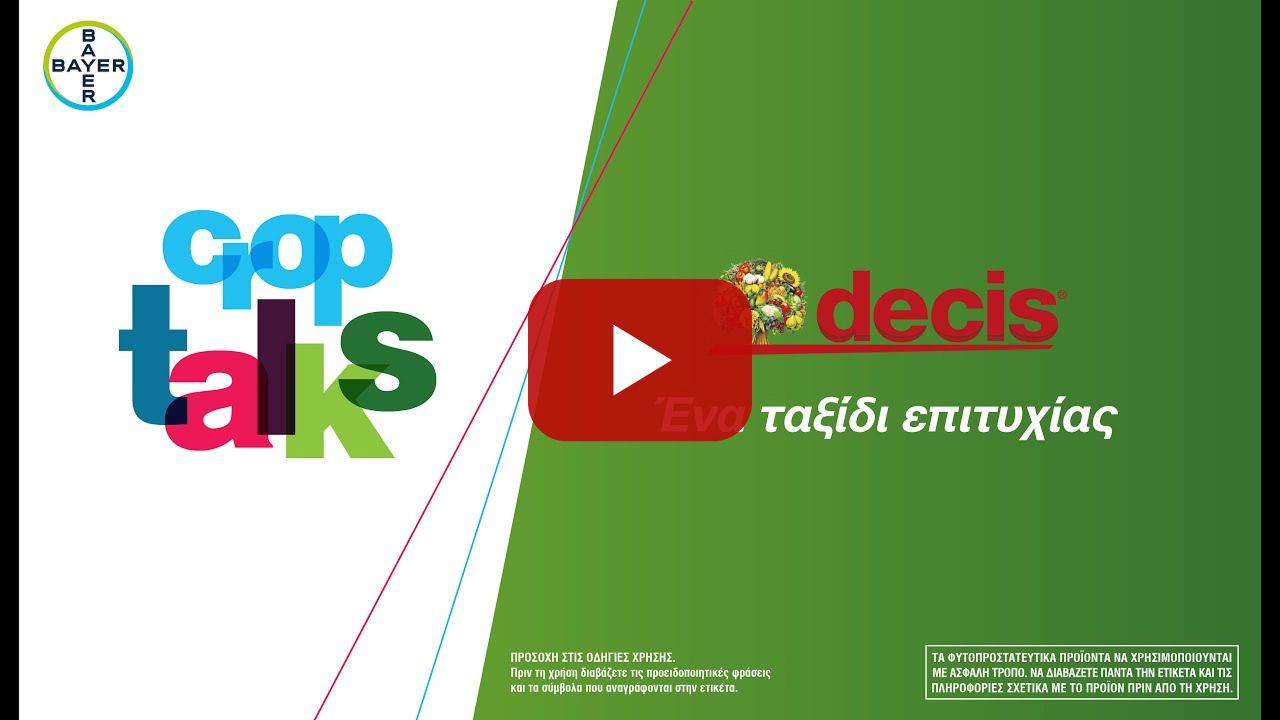 Decis. Ένα ταξίδι επιτυχίας