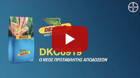 DEKALB /// DKC6919 - Ο νέος πρωταθλητής αποδόσεων
