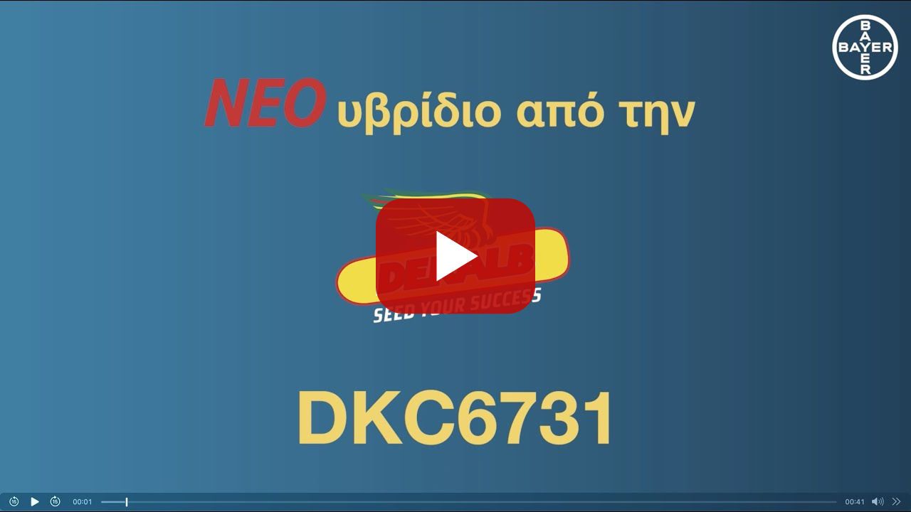 DEKALB /// DKC6731 - Έτοιμο για κάθε χρήση