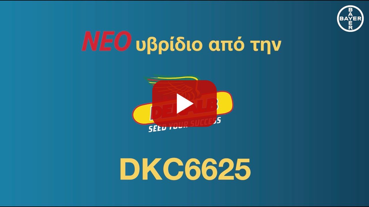 DEKALB /// DKC6625 - Εκεί που τα άλλα δεν αντέχουν