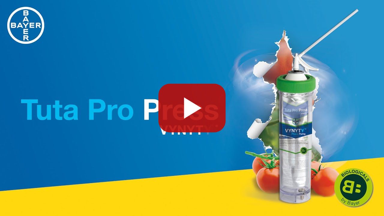 Tuta Pro Press Vynyty /// Η επανάσταση στις φερομόνες!