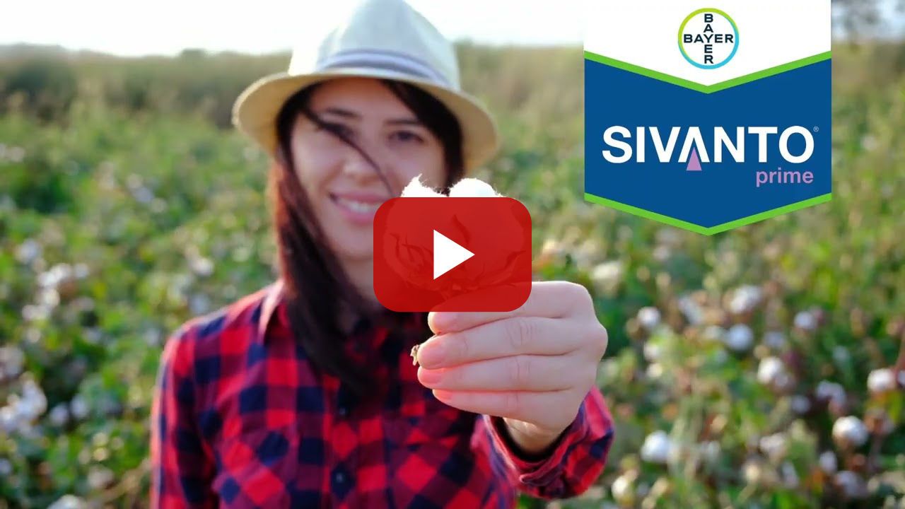 Sivanto Prime - Βαμβάκι